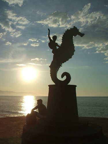 Steven DeRosa, Puerto Vallarta